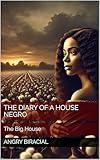 The Diary Of A House Negro: The Big House (The House Negro Book 1)