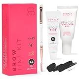 RB RENATA BEAUTY Brow Tint Kit – Eyebrow Tint Set – Dye Kit with Color Tint, Cream Developer and Styling Brush – Long-Lasting Effect Up to 4 Weeks – 30 Applications [Graphite]