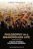 Philosophy in a Meaningless Life: A System of Nihilism, Consciousness and Reality