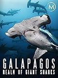 Galapagos: Realm of Giant Sharks