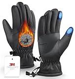 Deemii -10℉ Winter Gloves Men Women Made with 3M Insulation, Plush Lining Thermal Snow Gloves, Windproof & Water-Resisitant Gloves for Cold Weather, Touchscreen Fingers