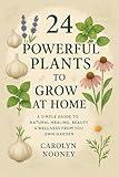 24 Powerful Plants to Grow at Home