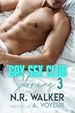 Gay Sex Club Stories 3