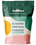 wellious Clean Vegan Protein Powder Chocolate - Organic Plant Based Protein Powder Dairy Free for Gut Health, No Sodium, High Fiber, Keto Friendly, Non Dairy, Lactose Free Protein Powder