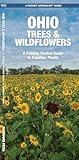 Ohio Trees & Wildflowers: A Folding Pocket Guide to Familiar Plants (Nature Observation North America)