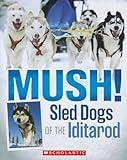 Mush!: Sled Dogs of the Iditarod