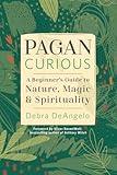 Pagan Curious: A Beginner's Guide to Nature, Magic & Spirituality