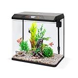 JumblPets Starter Fish Aquarium Kit, 5 Gallon, Complete Beginner Glass Fish Tanks Set with LED Lighting, Internal Filtration System, Filter Media Set, Hood & Lid, Ideal for Freshwater and Marine Fish