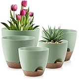 QRRICA Plant Pots 10/9/8/7.5/7 Inch Self Watering Pots, Set of 5 Plastic Planters with Drainage Holes and Saucers,Plastic Flower Pots,Nursery Planting Pot for Indoor Out Door Plants（Green）