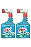 Windex Outdoor Window and Glass Cleaner for Hose Ammonia Free, Concentrated Formula for Deep Outdoor Clean, Outdoor Patio Cleaner, Compatible With All Hoses, 32 Fl Oz (Pack of 2)