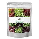 20,000+ Lettuce Seeds, Heirloom Vegetable Seed for Planting Indoor Outdoor, 10 Varieties Fresh Lettuce Salad Seeds Garden Hydroponics Kit - Romaine, Iceberg, Boston, Bibb and More, Non-GMO