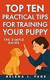 Top Ten Practical Tips for Training your Puppy: The Simple Guide