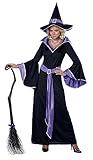 California Costumes Glamour Witch Incantasia Costume Large