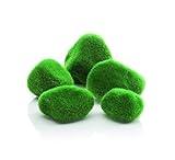 BiOrb 46084.0 Moss Pebbles Aquariums