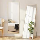 Aidoly Mirror Full Length, Upgraded 16"x59" Body Wall Mirrors with Shatter-Proof Glass, Floor Standing, Hanging or Leaning, Tall Mirror with Stand Aluminum Alloy Frame for Bedroom Cloakroom