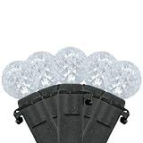 Northlight LED G12 Berry Christmas Lights - 16' Black Wire - Pure White - 50 ct