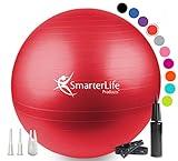 SmarterLife Exercise Ball Yoga Ball for Fitness, Balance, Stability, or Pregnancy, Gym Ball for Core Workout, Physical Therapy, Yoga Ball Chair for Office, Anti-Slip Anti-Burst (55 cm, Red)