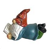 Gishima Fall Gnomes Figurines Decor,Decorative Harvest Gnomes Statue for Autumn Thanksgiving Home Decoration Gift (Gnomes Reading Book)