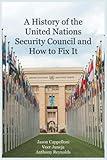 A History of the United Nations Security Council and How to Fix It: Intergovernmental Organizations Have Never Been This Exciting