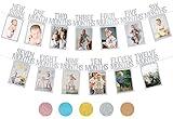 PartyHooman 1st Birthday Photo Banner for Baby from Newborn to 12 Months, First Birthday Decorations Girl Monthly Milestones Garland | First Photo Banner Pre-strung with Frame (Silver)