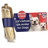 Devil Dog Pet Co. Elk Antlers for Dogs, Petite 3.5"+, 6 Pack, Grade A Long Lasting Chew for Aggressive Chewers, Premium USA Naturally Shed Antler – Healthy, No Odor, Durable Dog Chew