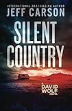 Silent Country (David Wolf Mystery Thriller Series)