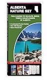 Alberta Nature Set: Field Guides to Wildlife, Birds, Trees & Wildflowers of Alberta (Nature Observation North America)