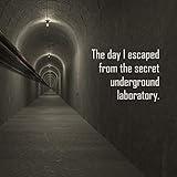 After the heist try to avoid surveillance cameras and security guards