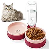 Cat Food Bowl, Cat Bowls Whisker Friendly with Water Dispenser for Cats and Small Dogs