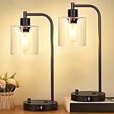 Set of 2 Industrial Table Lamps with 2 USB Port, Fully Stepless Dimmable Bedside Lamps for bedrooms, Nightstand Desk Lamps with Seeded Glass Shade for Reading Living Room Office 2 LED Bulb Included