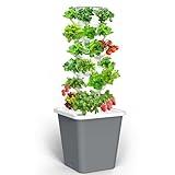 LYCereal Hydroponics Growing System, 30-Plant Indoor Tower with Pump System, Plants Germination Kit, Vertical Hydroponic System for Gardening Lover (No Seed)