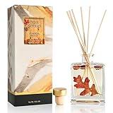 Urban Naturals Pumpkin Brulee Scented Sticks Reed Diffuser Oil Set – Fall Pumpkin Pie, Nutmeg & French Vanilla – Sleek Rectangular Refillable Glass Bottle – Made in The USA