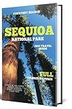 Sequoia National Park: Discover Majestic Trees, Hidden Trails, and Alpine Wonders in California’s High Country