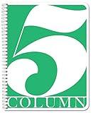 BookFactory 5 Column Log Book, 100 Pages, 8.5x11 Inches (COL-100-7CW-PP)