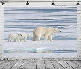 CORFOTO Wild Polar Bears Backdrop Fabric 7x5ft Polar Region Arctic Pack Ice Winter Scene Background for Arctic Themed Birthday Decorations Polar Bear Party Decor Kids Photo Booth Studio Props