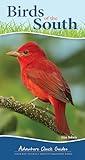 Birds of the South: Your Way to Easily Identify Backyard Birds (Adventure Quick Guides)