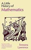 A Little History of Mathematics (Little Histories)