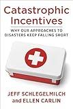 Catastrophic Incentives: Why Our Approaches to Disasters Keep Falling Short