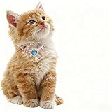 10. PT737 Soft Cool-Toned Pink Butterfly Detailed Pet Charm for Tiny Fluffy Pets Like Teacup Poodles & Persian Kittens