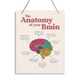JXZOLQ Brain Anatomy Wood Sign, Therapy Decorations, Hanging Wooden Plaques Decor, Brain Learning Resources, Psychology Sign, Neuroscience Decor Sign, Counseling Room Hanging Decor, Medical Decor