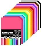 300 Sheets Colored Paper, 8.5 X 11 Colored Printer Paper Lightweight Construction Paper Double Sided Origami Paper for Crafts & Art, 20 Assorted Colors ( 70gsm/19lb)