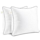 Yettbea Throw Pillows Insert, 18'' x 18'' Set of 2, Decorative for Couch, Sofa or Bed with Premium Down Alternative Filled, White