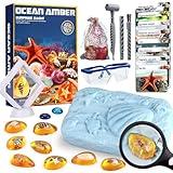 Woumserta Ocean Dig Kit - 8 Specimens Excavation Kit, Gemstone for Kids, Fossil Ocean Toys Dig Kits for Amber Collection, Ocean Toys for Boys Girls and up Year Old Birthday Gifts