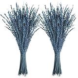 Uieke Dried Lavender Flowers, 16" Dried Lavender Bundles Dried Blue Flowers Preserved Lavender Stems Bouquet for Shower Weeding Home Fragrance Vase Crafts Decor, 100g(3.52oz)