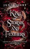 King of Storms and Feathers: A Dark Fae Fantasy Romance (Courts of the Star Fae Realms Book 1)