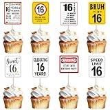 ZHUOWEISM 40 PCS Happy 16th Birthday Cupcake Toppers - Cheers to 16 Years, Bruh I'm 16, Speed Limit 16, It's My 16th Birthday - Double Sided, Non-Edible, Paper, 40 Count