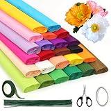 24 Colors Crepe Paper Rolls, 10 x 98 Inch Wide Crepe Paper Sheets with 100 Pcs Green Floral Iron Wire, Floral Band, Double-Sided Tape, and Scissors for Birthday Parties Weddings Festival Decoration