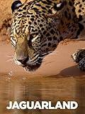 Jaguarland