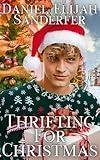 Thrifting For Christmas (Thrifting For Love Book 2)