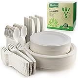 BIRCHIO 250 Piece Biodegradable Paper Plates Set (EXTRA LONG UTENSILS), Disposable Dinnerware Set, Eco Friendly Compostable Plates & Utensil include Plates, Forks, Knives and Spoons for Party